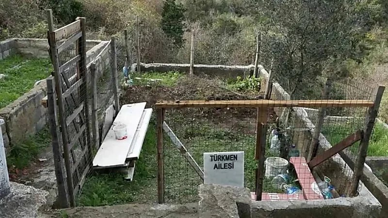 نبش قبر وسرقة كامل رفات صاحبه بسبب الميراث