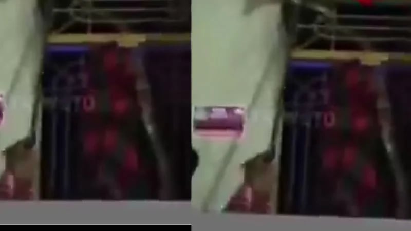 ثعبان ضخم يثير الرعب داخل فندق .. فيديو