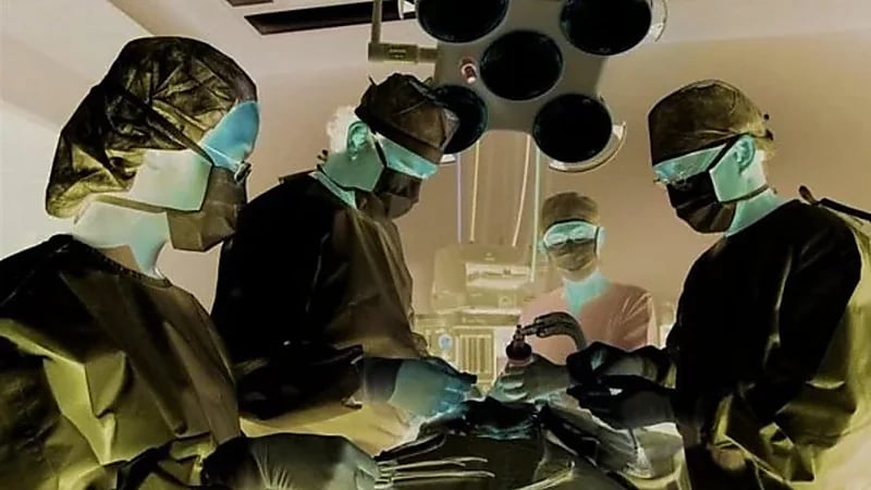 زراعة ناجحة لكلية خنزير معدلة وراثيًا لمريض بالفشل الكلوي