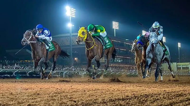 نادي سباقات الخيل يوفر وظيفة شاغرة