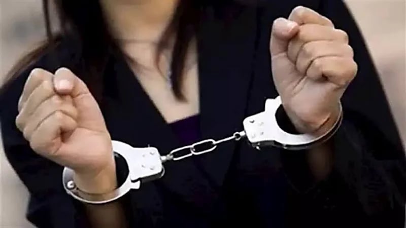 القبض على بلوجر بتهمة نشر فيديوهات خادشة للحياء