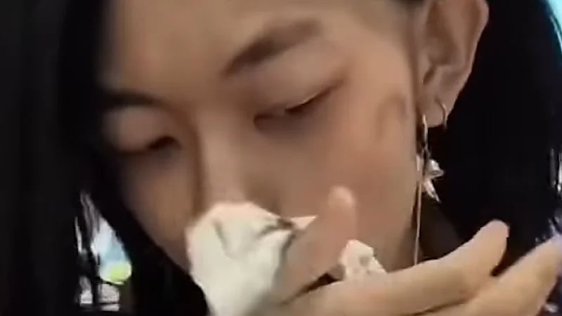 إجبار مسافرة على إزالة الماكياج للتحقق من هويتها في المطار..فيديو