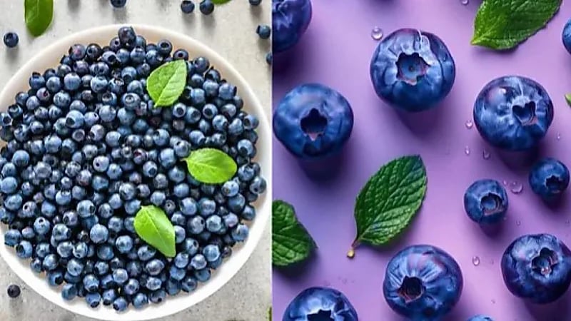 فوائد مذهلة للتوت الأزرق للوقاية من التجاعيد