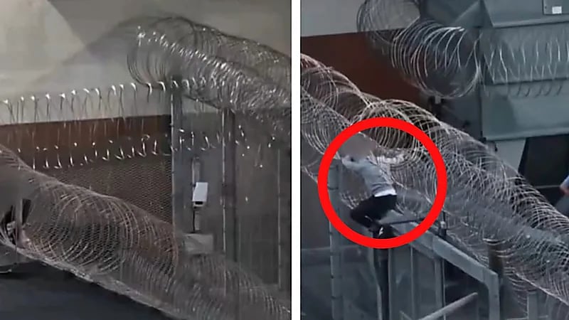 WhatsApp Image 2025-09-08 at 4.27.35 PM.jpeg