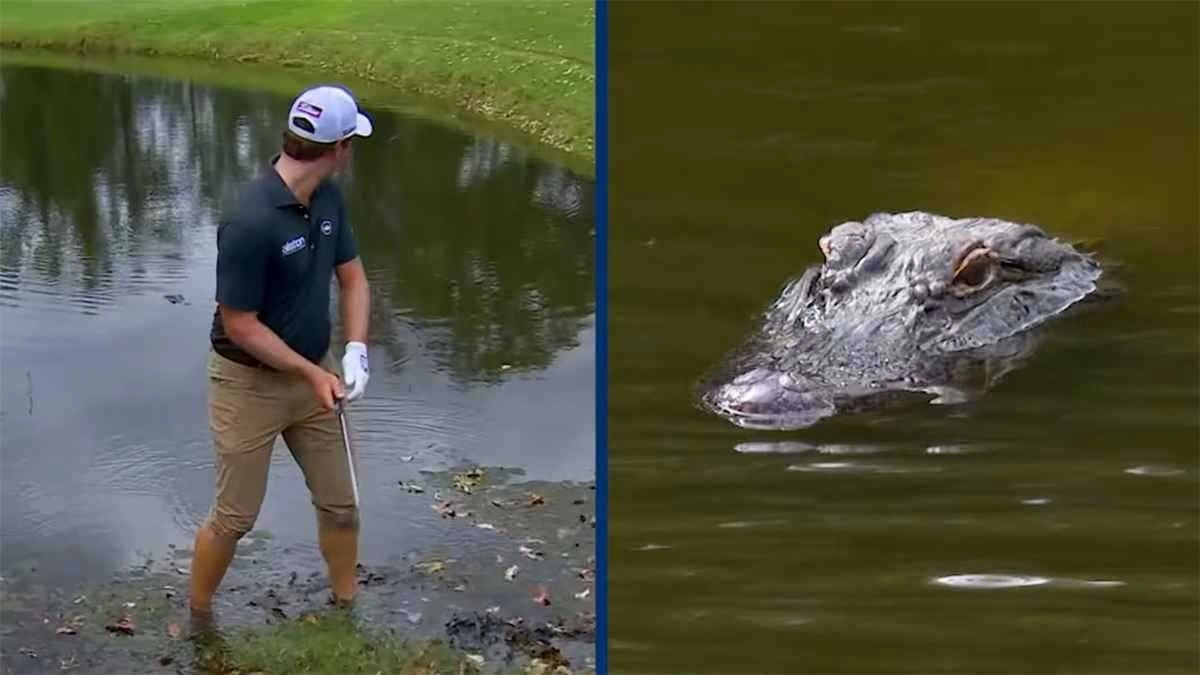 WhatsApp Image 2025-10-07 at 5.24.46 PM.jpeg