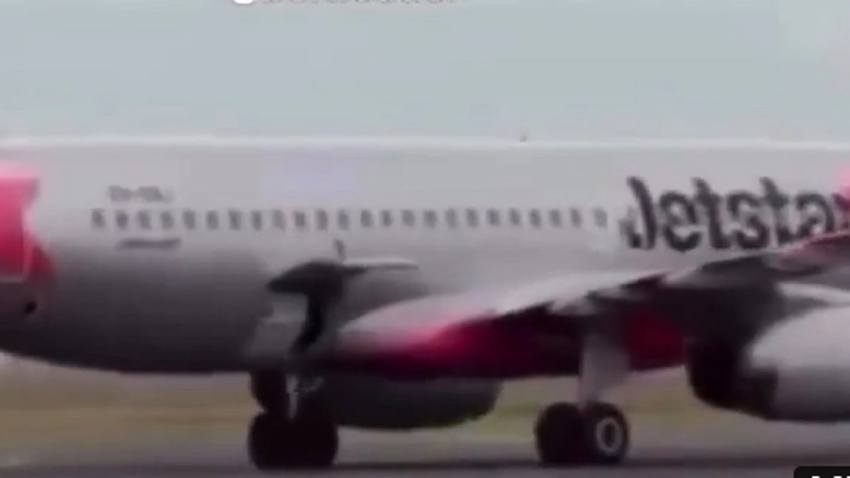 WhatsApp Image 2025-10-09 at 9.10.53 PM.jpeg