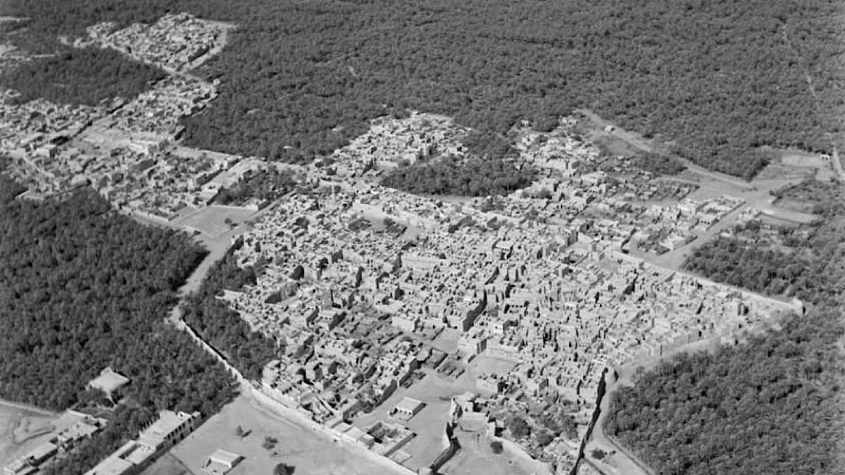 WhatsApp Image 2025-10-27 at 12.47.48 PM.jpeg