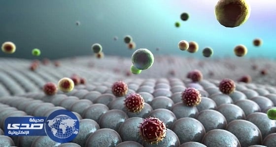 طبيب مصري: " الكانديدا " تبث 75 سماً قاتلاً