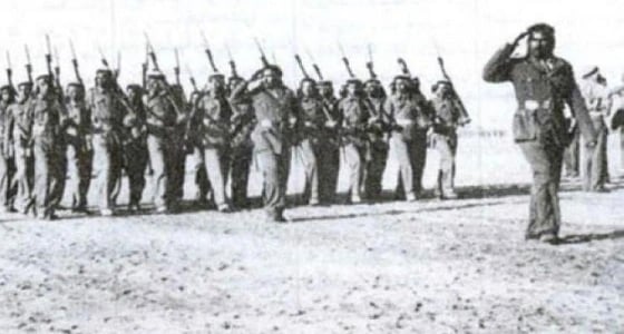 صور.. باحث تاريخي يرصد تضحيات المملكة بالمال والدماء على الأراضي الفلسطينية