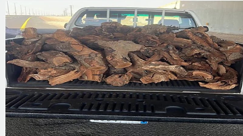 ضبط 12 مخالفاً لنظام البيئة في 5 مناطق