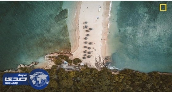 أجمل الصور في مسابقة " ناشيونال جيوغرافيك " السنوية