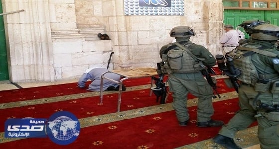 ⁠⁠⁠⁠⁠فلسطين: صمت المجتمع الدولي بلغ حد التواطؤ مع جرائم الاحتلال