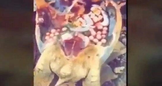 البيئة تتوعد صائدي السلاحف البحرية والاتجار في لحومها