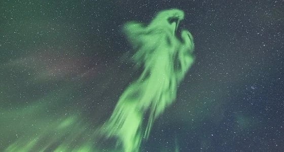 فلكية جدة: ظهور حيوان غريب بعد ضرب الريح الشمسية مجالنا المغناطيسي