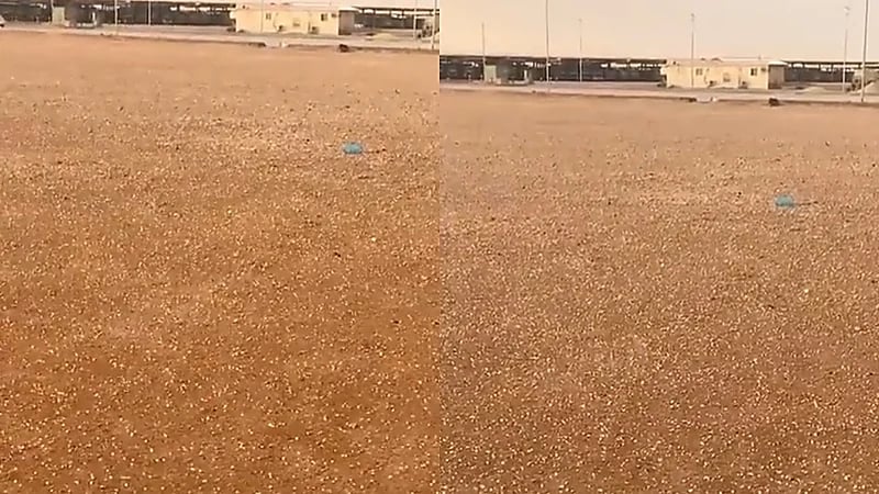 شاهد.. تساقط حبات البرد على حفر الباطن