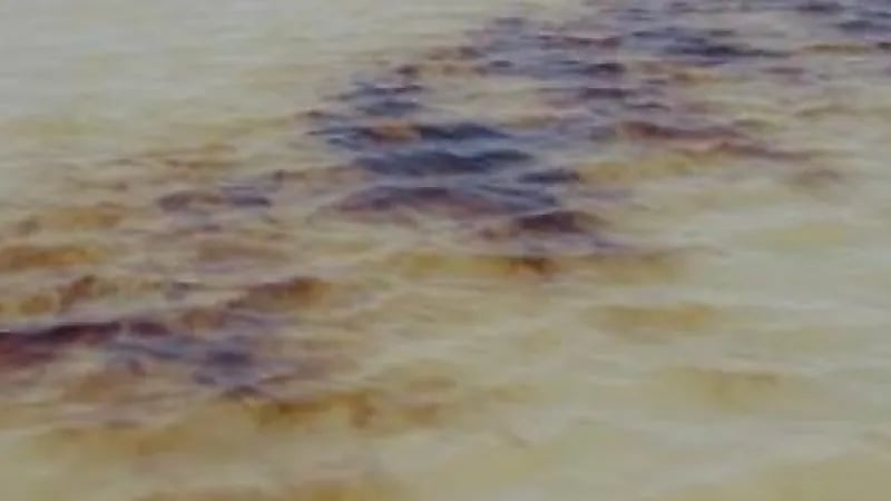 رصد بقع زيتية في إحدى المناطق البحرية التابعة للهيئة الملكية بينبع