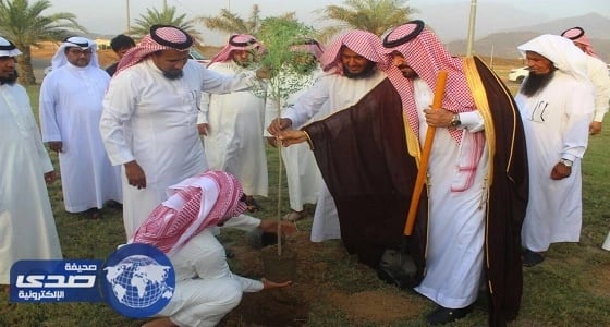 بالصور.. محافظ الحجرة يدشن " بيئتي حياتي "