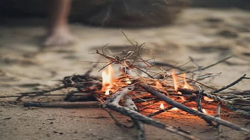 توقيف 11 مخالفًا لنظام البيئة لإشعالهم النار في غير الأماكن المخصصة لها