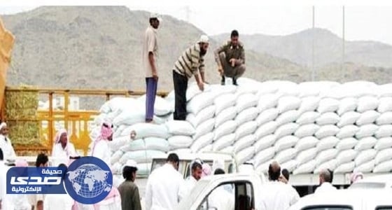 " الحبوب " تنتهي من ترسية استيراد 660 ألف طن شعير