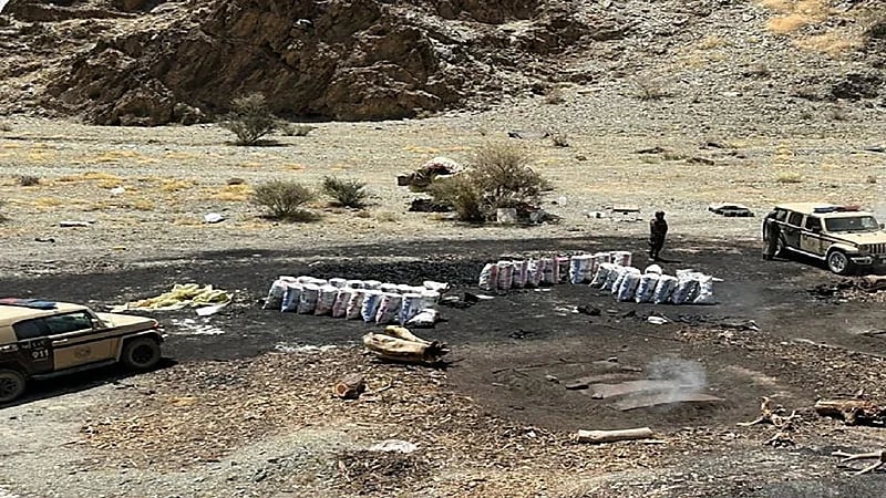 القبض على مخالف لقطع الأشجار وتخزين الحطب المحلي بالمدينة المنورة