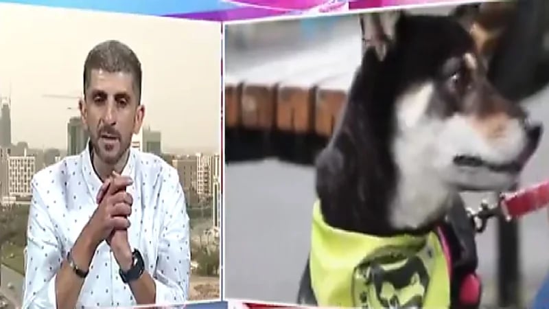 بالفيديو.. نصائح للشخص الراغب في تربية الحيوانات