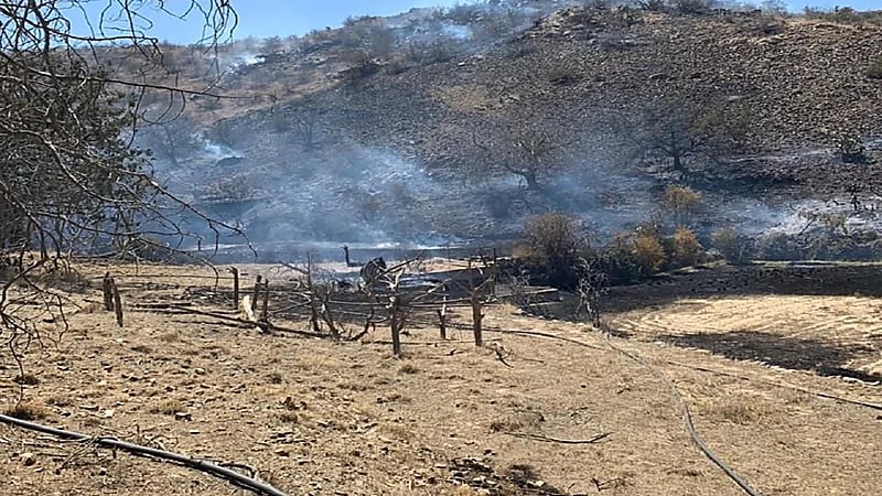 السيطرة على حريقين اندلعا في الغابات بالطائف