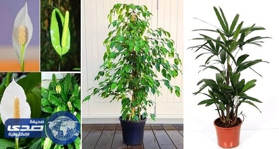 بالفيديو .. نصائح " ناسا " الفضائية لنوم حالم بدون قلق