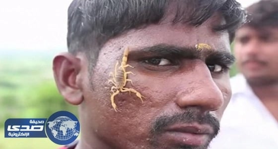 مهرجان لتكريم الثعابين والأفاعي بالهند