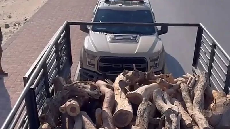 ضبط مخالفين لبيعهما أكثر من 16 مترًا مكعبًا من الحطب المحلي بالشرقية .. فيديو