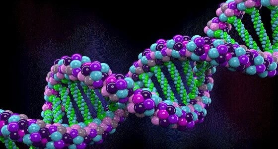 الحمض النووي يحسم نزاع على مليون دولار