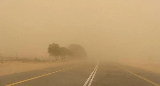 أهالي بيشة يعربون عن استيائهم من " التعليم " لعدم تعليق الدراسة