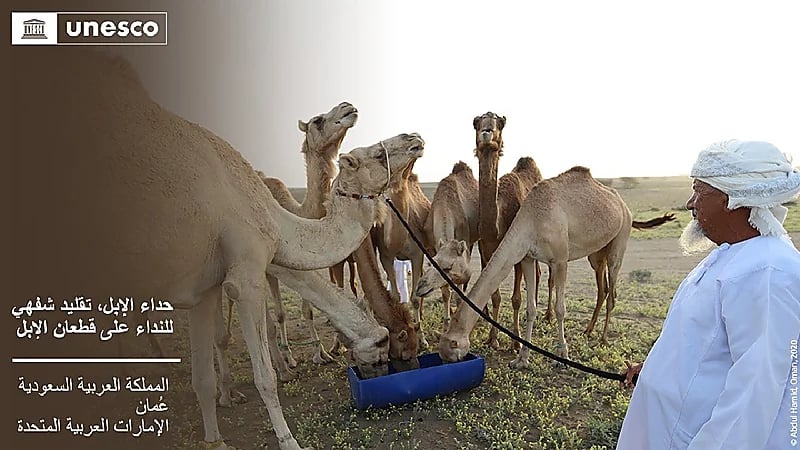 المملكة تسجل "حداء الإبل" و"البن الخولاني السعودي" ضمن قائمة اليونسكو