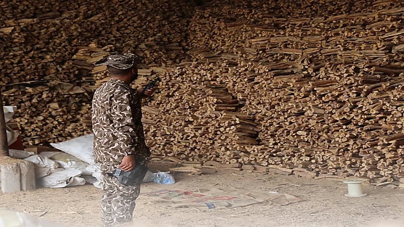 ضبط مواطن مخالف لنظام البيئة في الطائف .. فيديو