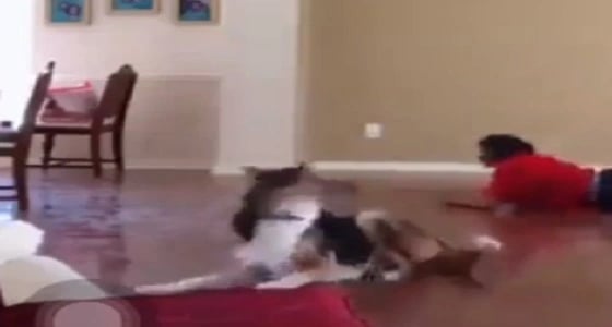 بالفيديو.. سقوط مروع لفتاة حاولت استعراض رشاقتها أمام الكاميرا