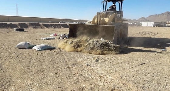 بالصور.. نقل الأغنام النافقة ونظافة ساحة سوق الأنعام في حي صهبان بنجران