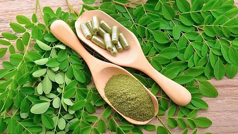 الغذاء والدواء: لا دراسات علمية تؤكد الادعاءات العلاجية لنبتة المورينغا