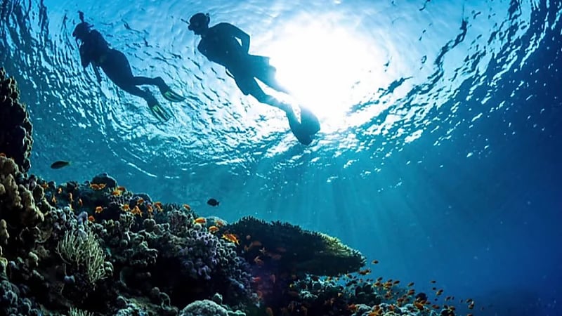 شركة البحر الأحمر تكشف عن توسعها لتصبح "البحر الأحمر الدولية"