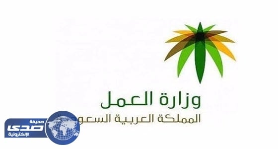 العمل: معاقبة المدارس المتلاعبة بالرواتب دون الإفصاح عن هوية المتقدمين بالشكوى