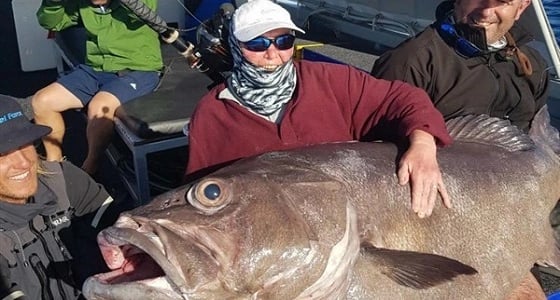 سيدة تصطاد سمكة بحجم الأريكة