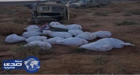 بالصور.. حرس الحدود تحبط محاولة تهريب كمية من أقراص الإمفيتامين