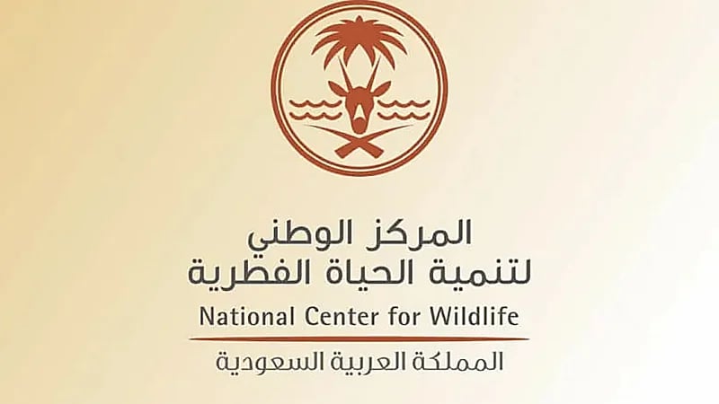 السجن وغرامة مالية 400 ألف ريال لصاحب مقطع تعذيب قرود البابون