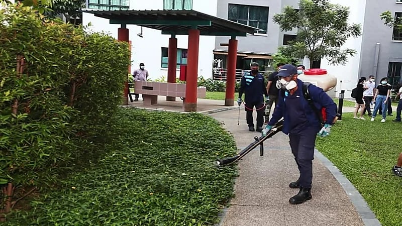 قلق في سنغافورة بعد تسجيل 8 آلاف إصابة بحمى الضنك