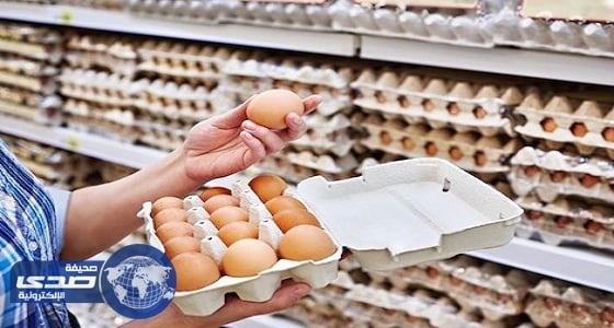 ⁠⁠⁠⁠⁠فضيحة البيض الملوث تغلق 144 مزرعة دواجن بهولندا