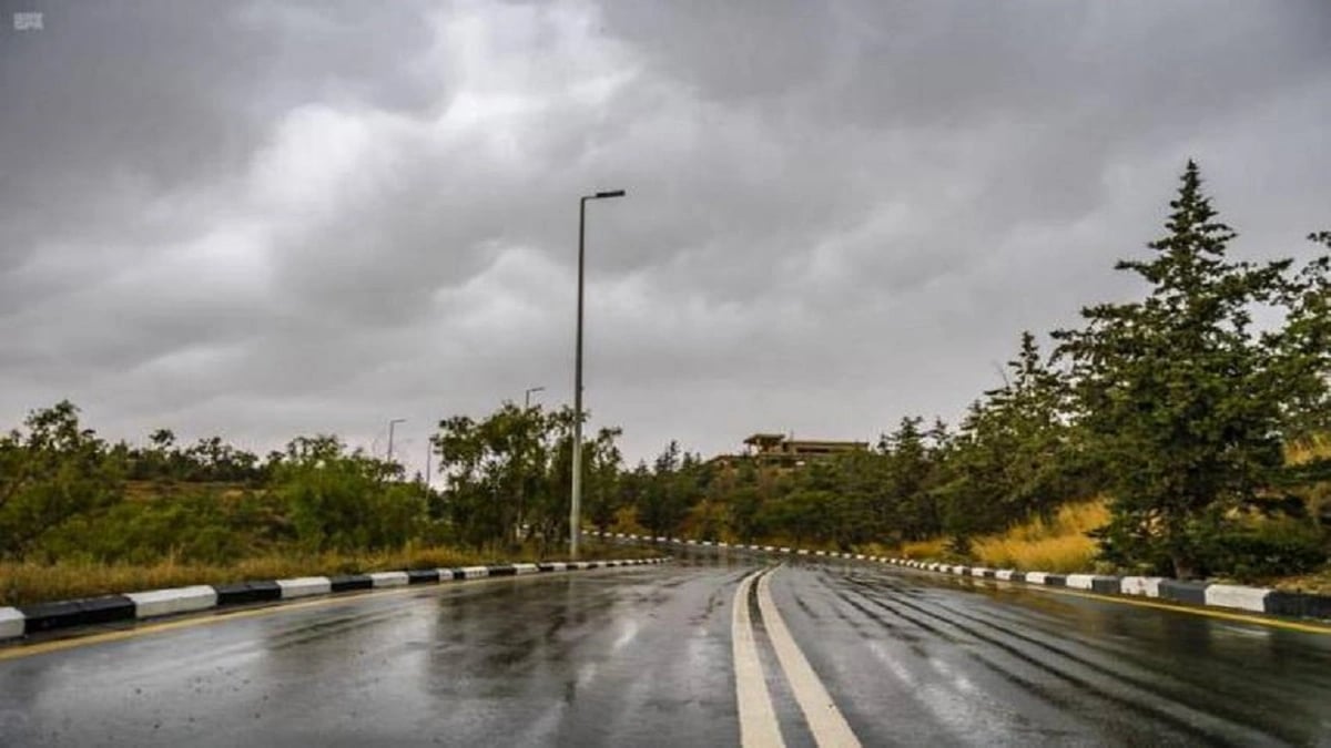 القبض على تيك توكر لقيامها بأعمال جنسية شاذة