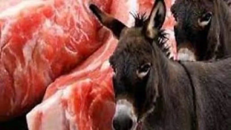 مزرعة تذبح الحمير وتبيع لحمها "مفروم "