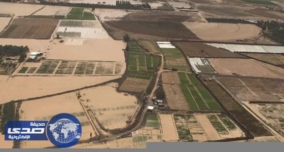 مجموعة دله تتفاوض لشراء مستشفى سعد التخصصي بالخبر