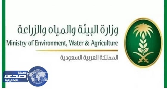 إنشاء ترسية سد المرير بسكاكا في الجوف