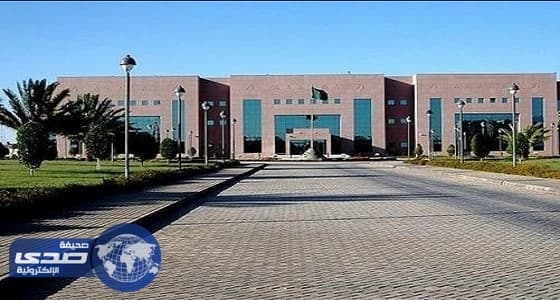 حملات رقابية متزامنة في محافظتي ضباء والوجه