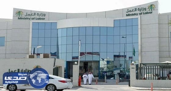 العمل: 141 ألف وظيفة «عن بُعد» و28% نسبة المرأة بحلول 2020