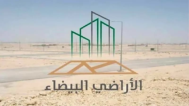 الأراضي البيضاء : 3 أشياء متاحة لمالك الأرض بعد إصدار أمر السداد